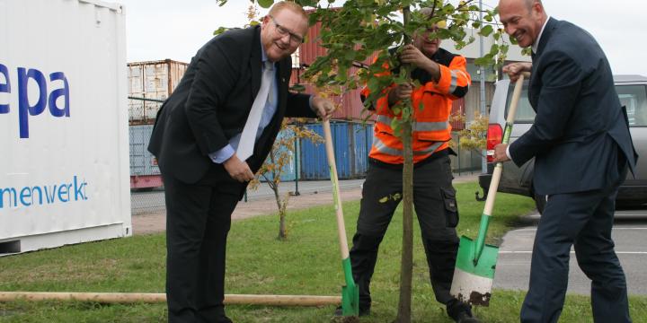 Tree planting